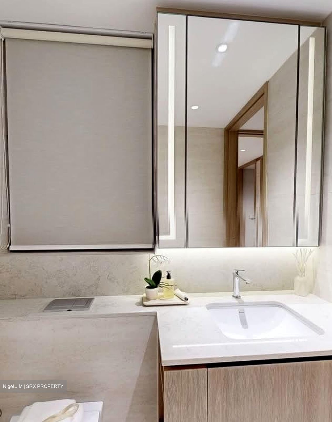 Hudson Place Residences (U/C) (D5), Apartment #550041881